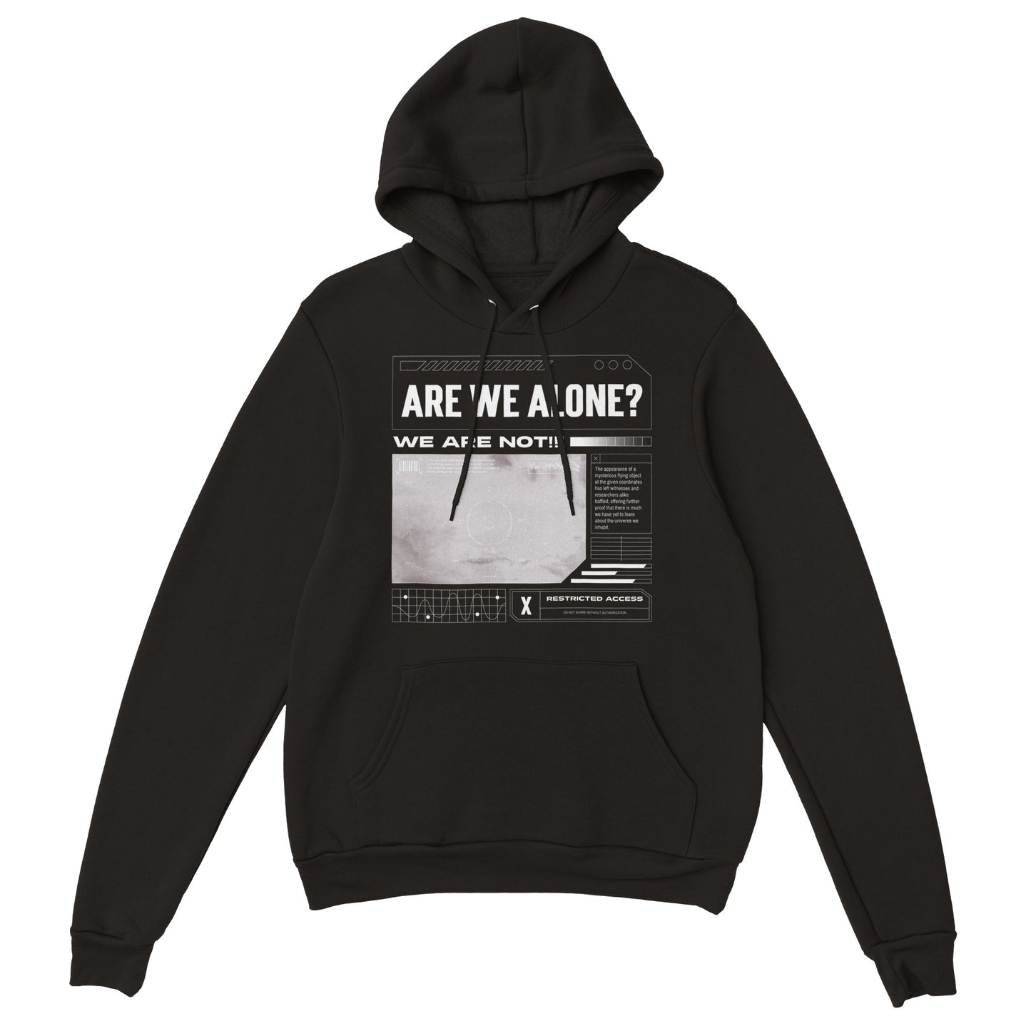 Are We Alone? - Premium Unisex Pullover Hoodie